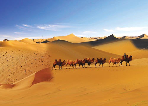 Day Trip To The Dawakol Desert 
